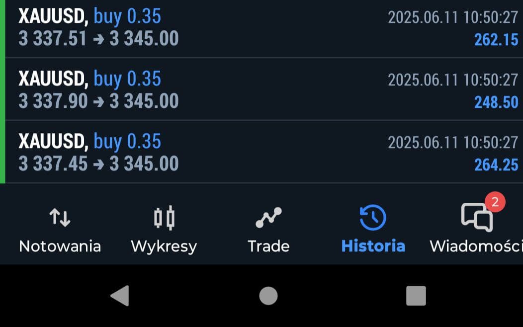 Wynik tradingowy - czerwiec 2025