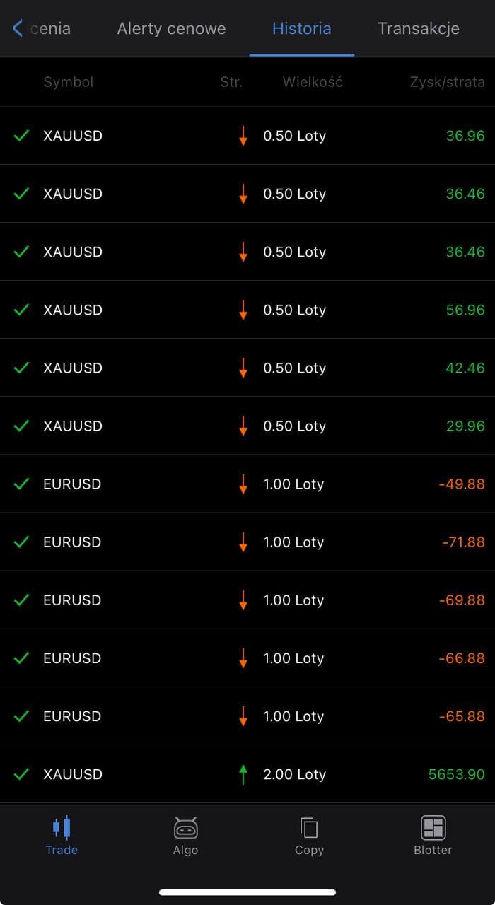Wynik tradingowy - czerwiec 2025